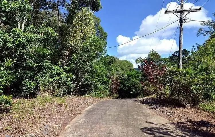 Second view of Homely land listing, 74 Spring Creek Road, Mowbray QLD 4877