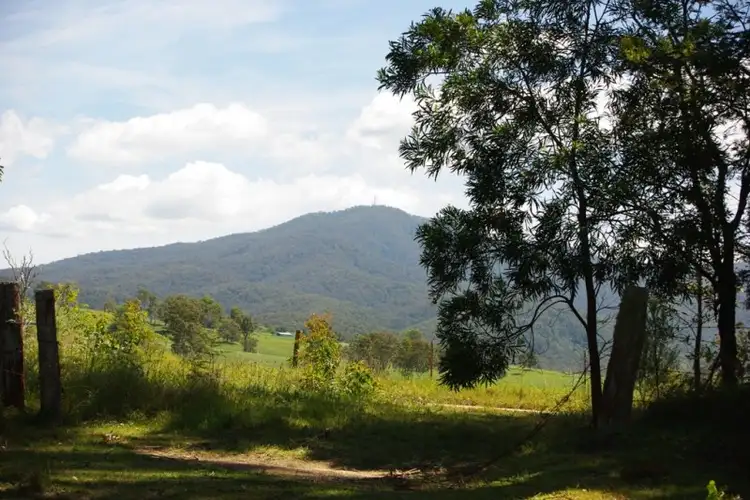 Seventh view of Homely rural property listing, LOT 1 County Boundary Road, Cobargo NSW 2550