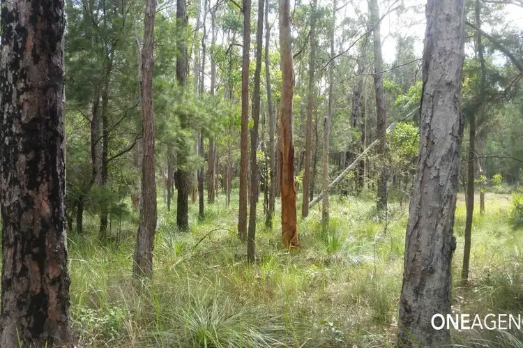 Seventh view of Homely rural property listing, Lot 43 (garys Way) Crescent Head Road, Crescent Head NSW 2440