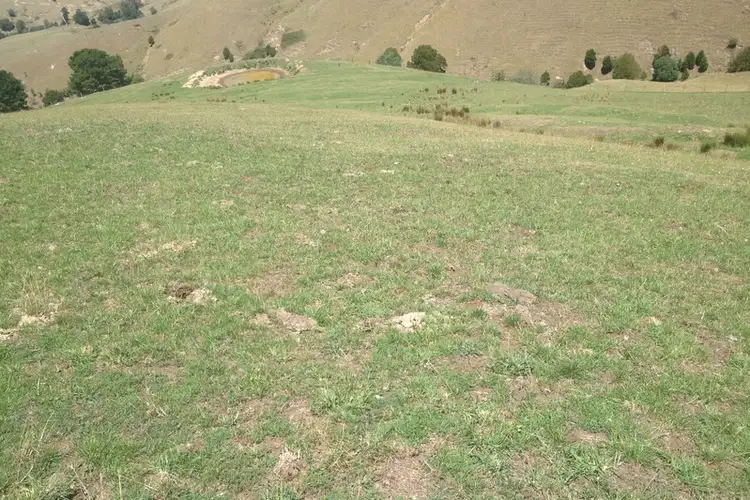 Fifth view of Homely house listing, 120 McIntosh's Road, Strzelecki VIC 3950