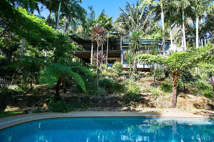 Main view of Homely house listing, 10 Coachwood Court, Federal NSW 2480