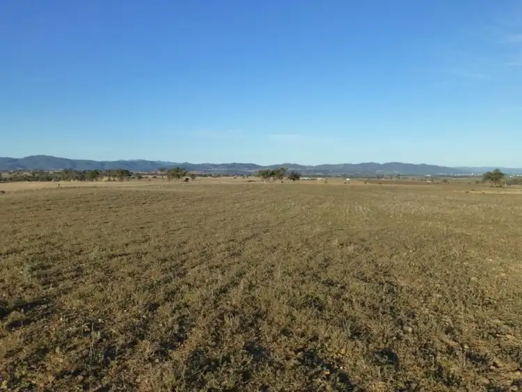 Second view of Homely rural property listing, 228 Jenners Lane, Winton NSW 2344