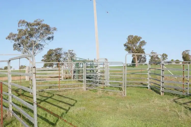 Sixth view of Homely rural property listing, 1665 Gollan Road, Mudgee NSW 2850