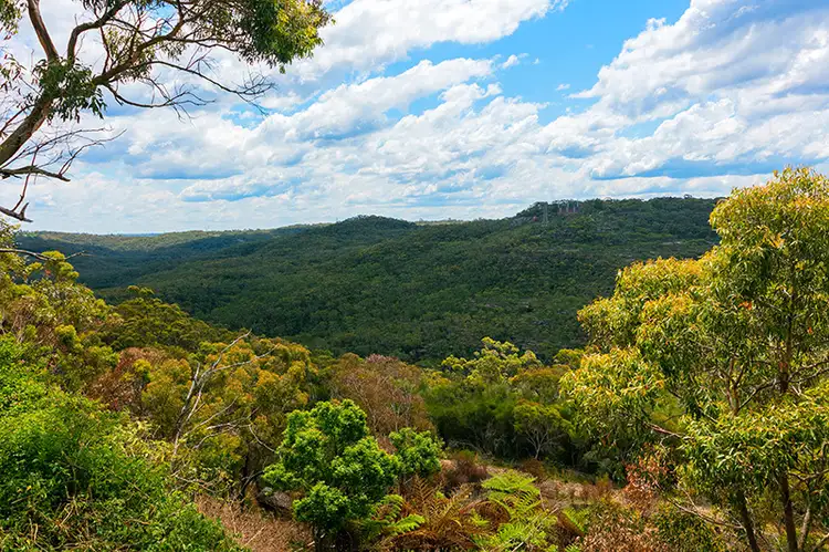 Third view of Homely house listing, 92 Ashworth Avenue, Belrose NSW 2085