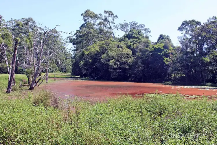 Seventh view of Homely rural property listing, LOT 29 Chain O Ponds Road, Collombatti NSW 2440