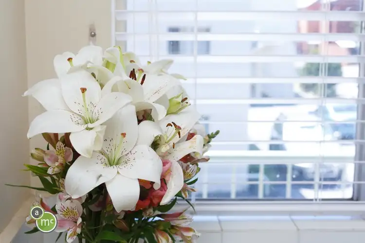 Sixth view of Homely unit listing, Level 1/23/381 Barker Road, Subiaco WA 6008