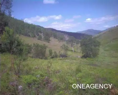 Second view of Homely rural property listing, 370 Smiths Creek Road, Lower Creek NSW 2440