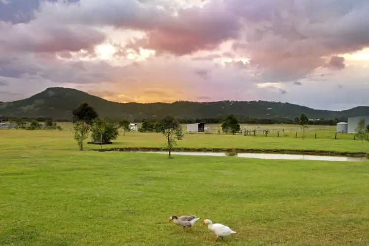 Second view of Homely house listing, 127 Toolborough Road, Yandina Creek QLD 4561