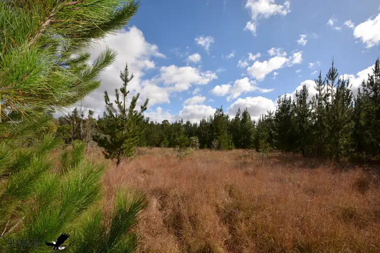 Seventh view of Homely rural property listing, LOT 209 Central Road, Sugarloaf QLD 4380