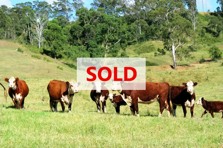 Main view of Homely land listing, 680 Burragorang Road, The Oaks NSW 2570
