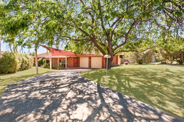 Main view of Homely house listing, 19 McEwen Crescent, Wodonga VIC 3690