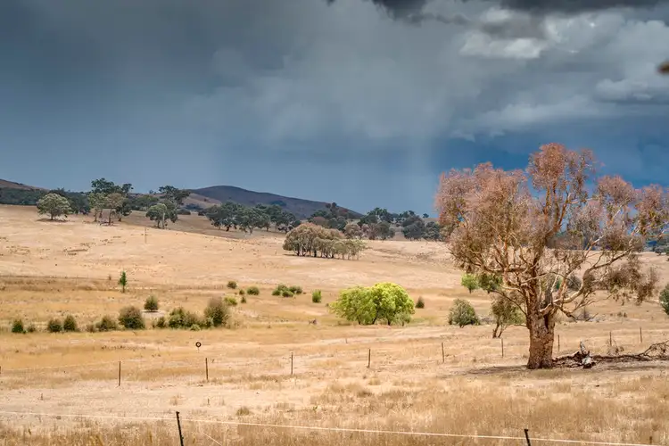 Third view of Homely rural property listing, 42 Koombahlah Road, Primrose Valley NSW 2621