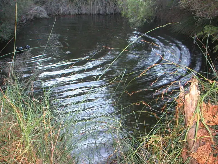 Seventh view of Homely rural property listing, Address available on request