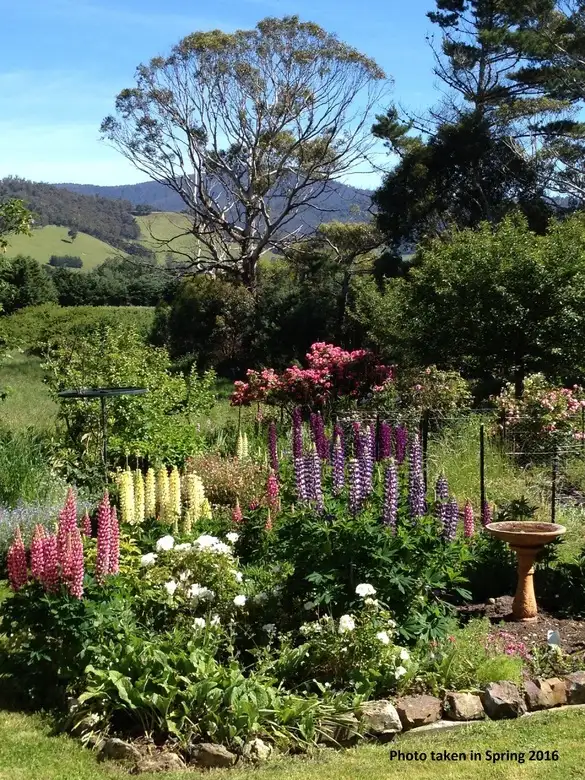 Sixth view of Homely house listing, 40 North Glen Road, Huonville TAS 7109