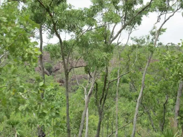 Fourth view of Homely rural property listing, Lot 5213 Dorat Road, Robin Falls NT 822