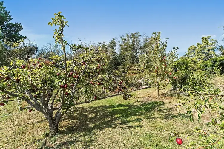 Fourth view of Homely house listing, 40 North Glen Road, Huonville TAS 7109
