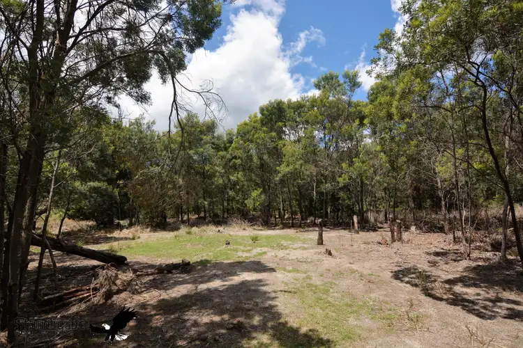 Fourth view of Homely rural property listing, LOT 184 South Drive, Sugarloaf QLD 4380