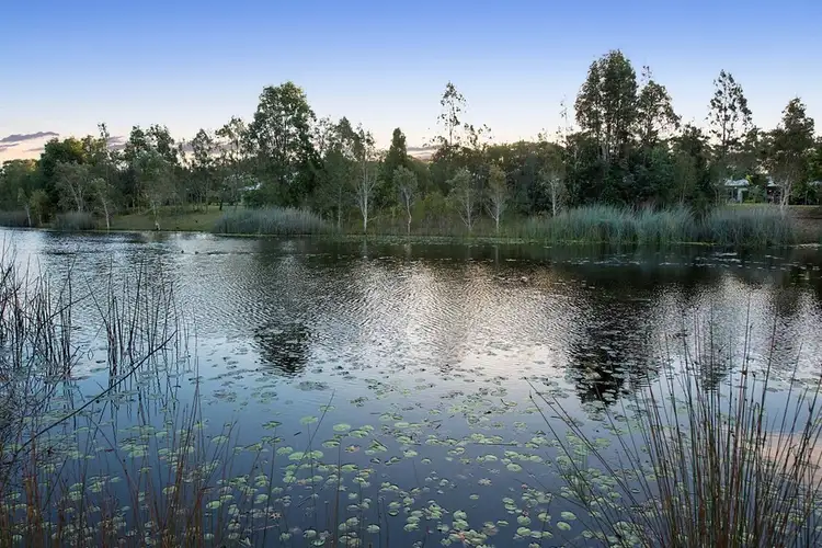 Second view of Homely house listing, 17 Aspera Place, Noosaville QLD 4566