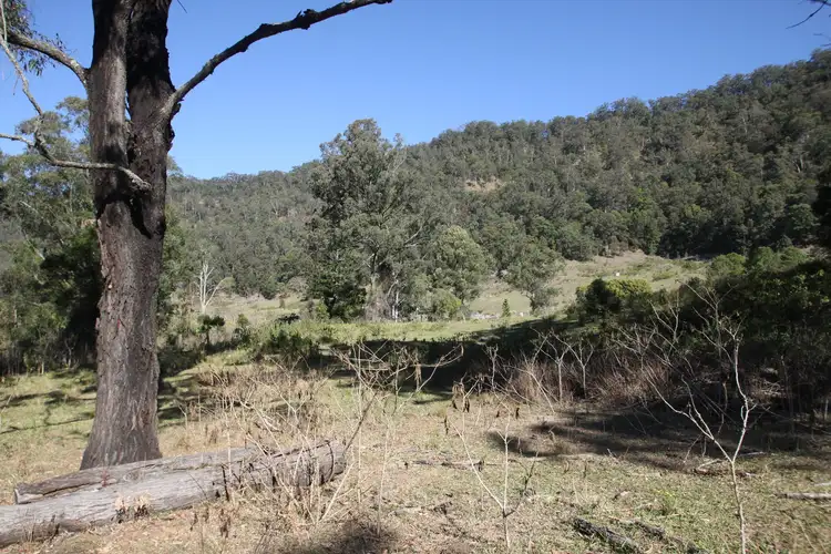 Fourth view of Homely rural property listing, LOT 3, 346 Lindsay Road, Larnook NSW 2480