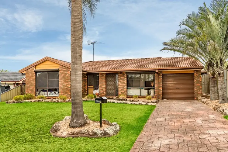17 Selby Place, Minto NSW 2566