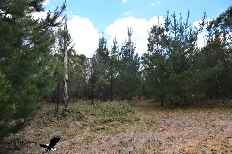 Seventh view of Homely rural property listing, LOT 207 Ironbark Road, Sugarloaf QLD 4380