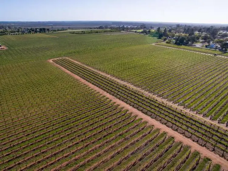 Seventh view of Homely rural property listing, 67 Quandong Avenue, Merbein VIC 3505