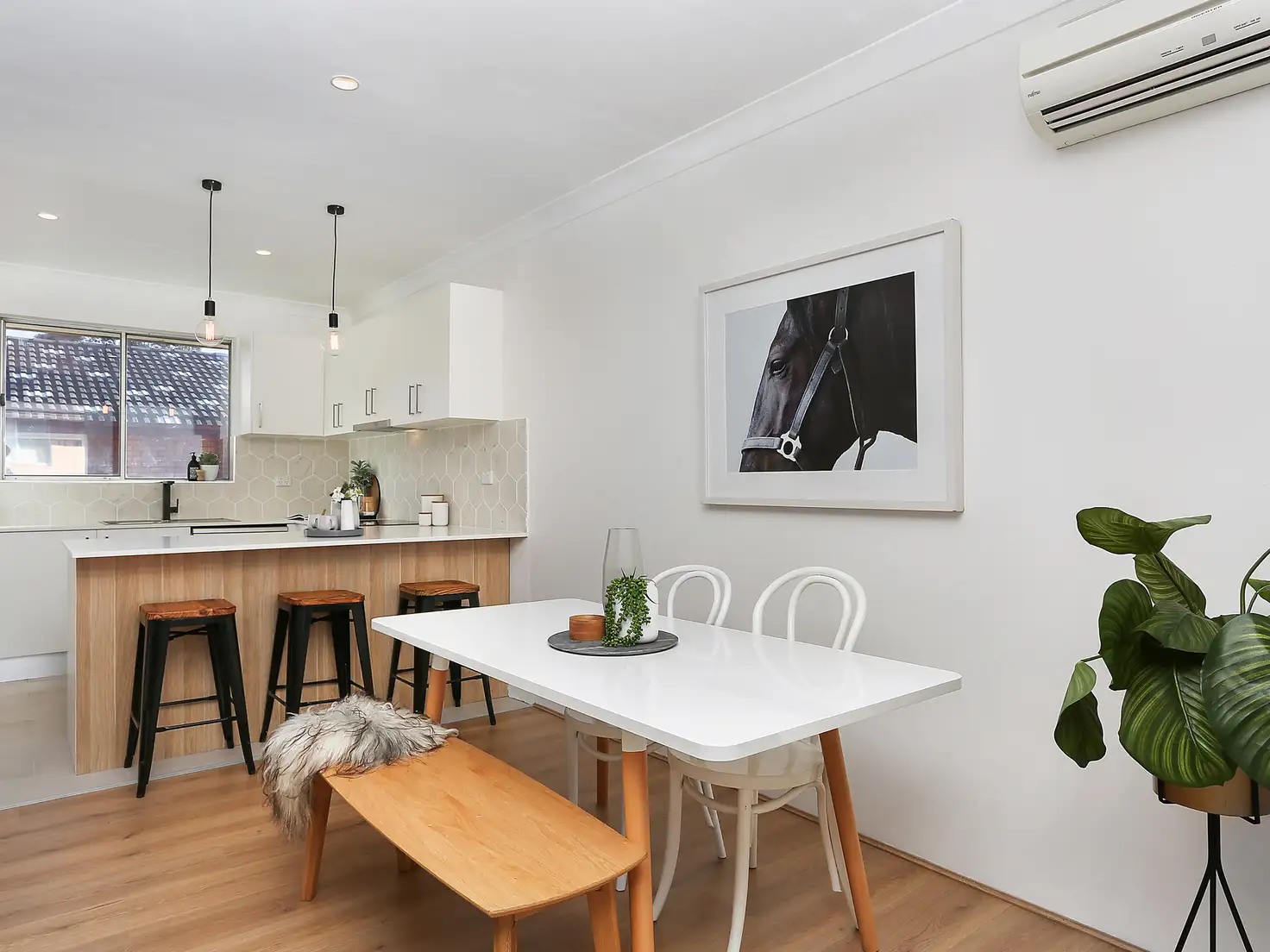 Main view of Homely apartment listing, 6/56 Orpington Street, Ashfield NSW 2131