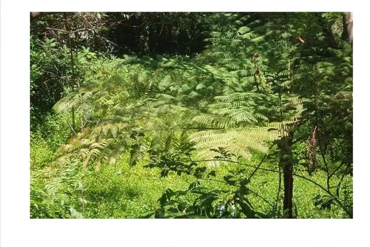 Fourth view of Homely land listing, 19 Tanjenong Place, Burleigh Heads QLD 4220