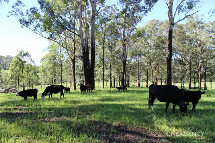 Second view of Homely rural property listing, Lot 30 Chain O Ponds Road, Collombatti NSW 2440