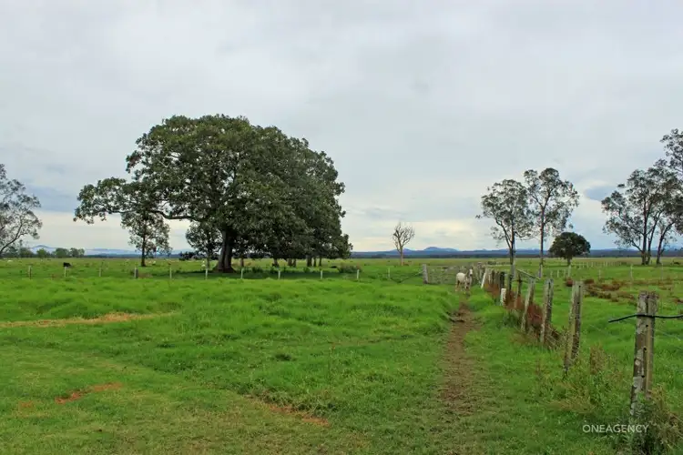 Sixth view of Homely rural property listing, 1647A Pacific Highway, Clybucca NSW 2440