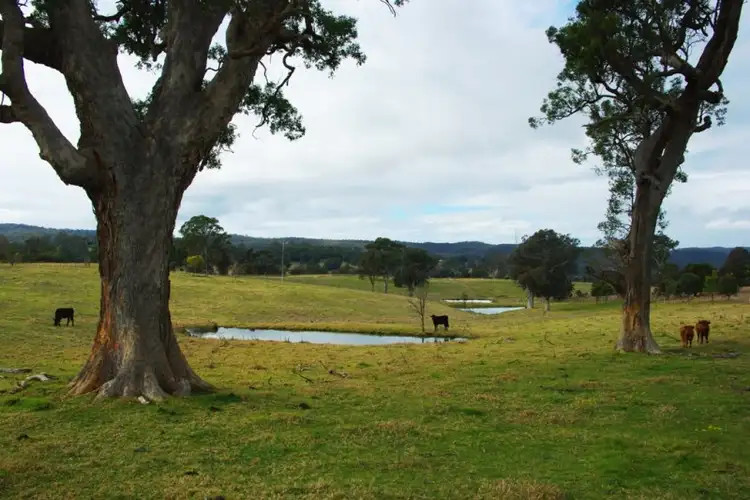 Fifth view of Homely rural property listing, LOT 3 Field Buckets Road, Quaama NSW 2550