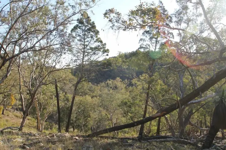 Sixth view of Homely rural property listing, 848 Hughes Road, Mudgee NSW 2850