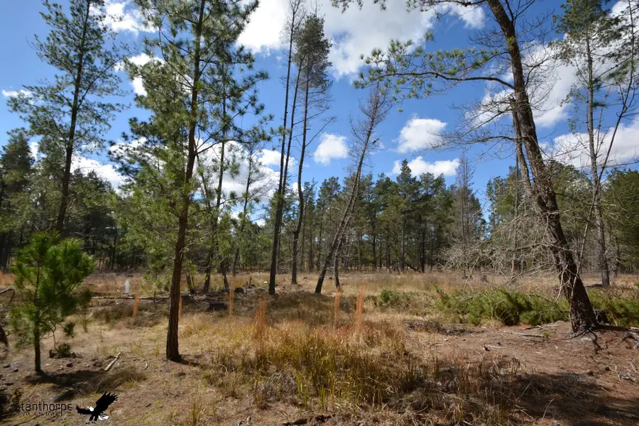 Main view of Homely rural property listing, LOT 258 Panoramic Drive, Sugarloaf QLD 4380