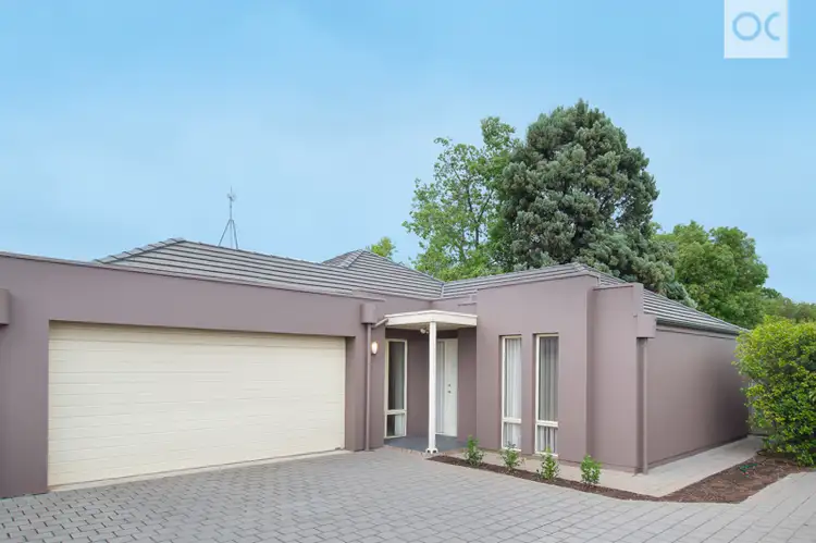 3a William Street, Prospect SA 5082