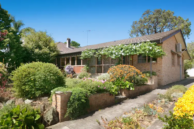 474 Pacific Highway, Asquith NSW 2077