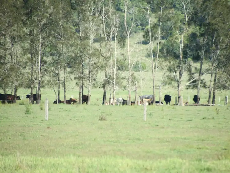 Main view of Homely rural property listing, LOT 11/80 Northcotts Road, South Gundurimba NSW 2480
