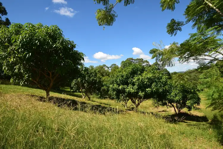 Fourth view of Homely rural property listing, 315 Warby Road, Jiggi NSW 2480