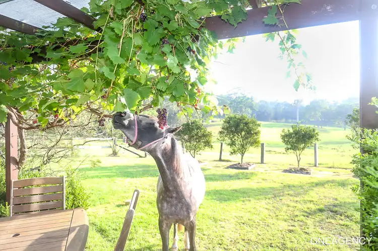 Sixth view of Homely rural property listing, 50 Dennis Road, Mungay Creek NSW 2440
