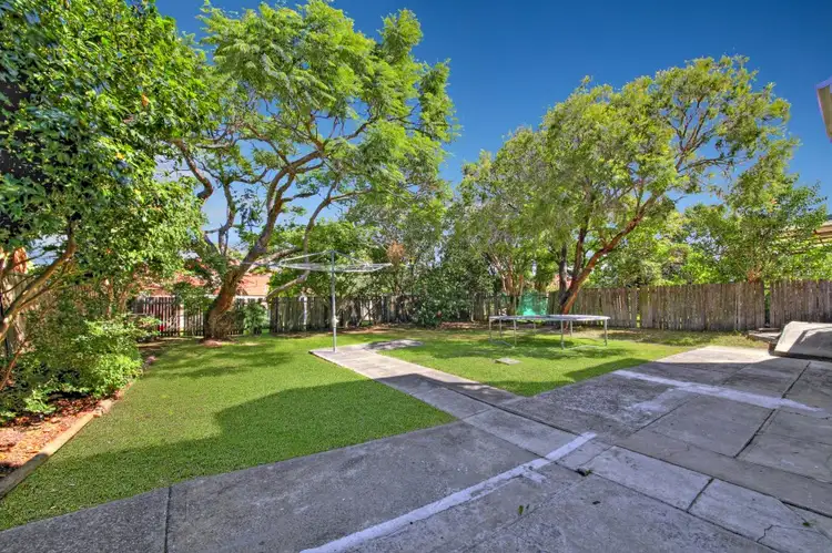 17 Harold Street, Mount Lewis NSW 2200