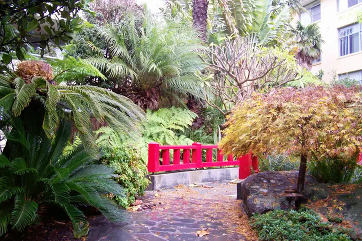 41/1 Amherst Street, Cammeray NSW 2062