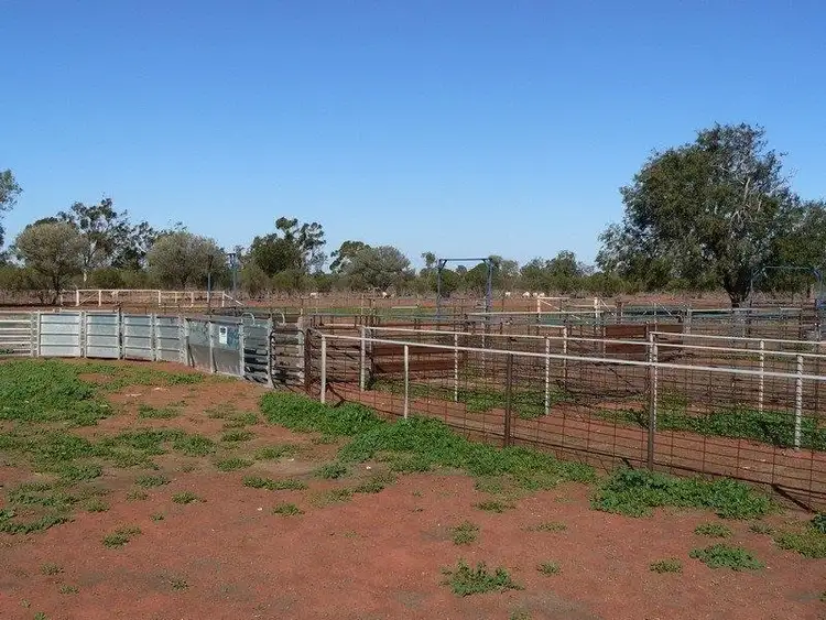 Fifth view of Homely rural property listing, - Winrae, Bourke NSW 2840