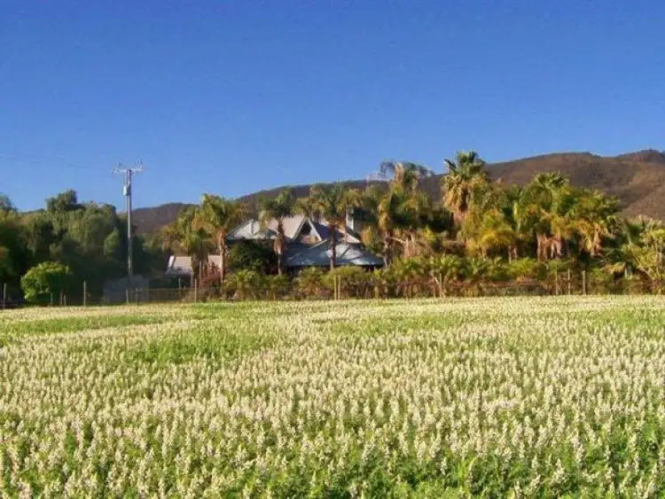 Second view of Homely house listing, 1274 Scenic Drive, Nelshaby, Port Pirie SA 5540