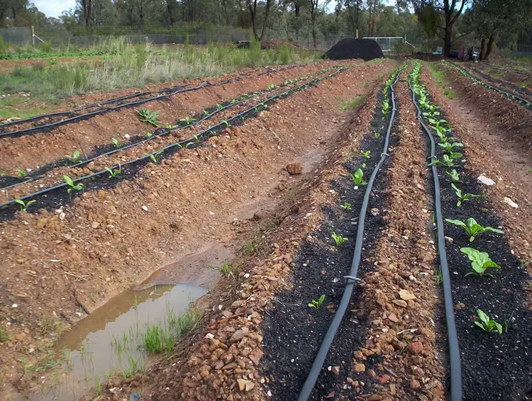 Seventh view of Homely house listing, Address available on request