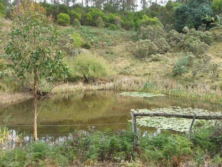 Seventh view of Homely land listing, Woolleys Road, Lonnavale TAS 7109