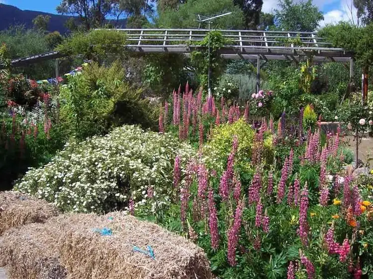 Seventh view of Homely house listing, 715 Lachlan Road, Lachlan TAS 7140