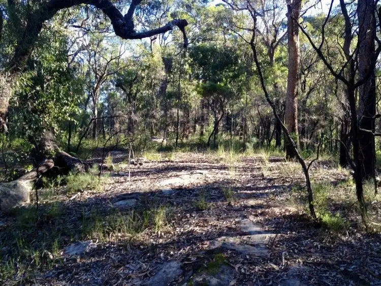 Fourth view of Homely land listing, Lot 2 Peats Place, Lower Portland NSW 2756