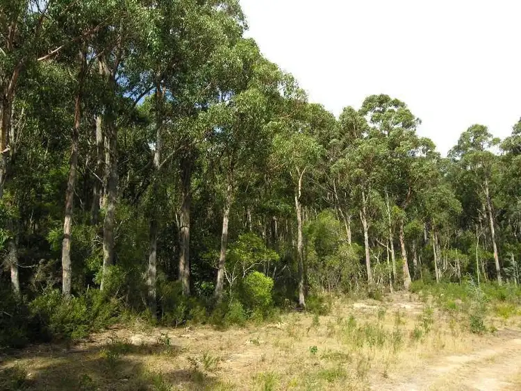 Sixth view of Homely land listing, Urfoot Road, Geeveston TAS 7116
