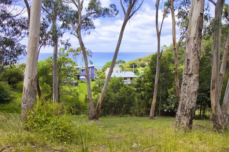Main view of Homely land listing, 2 Neds Lane, Separation Creek VIC 3221