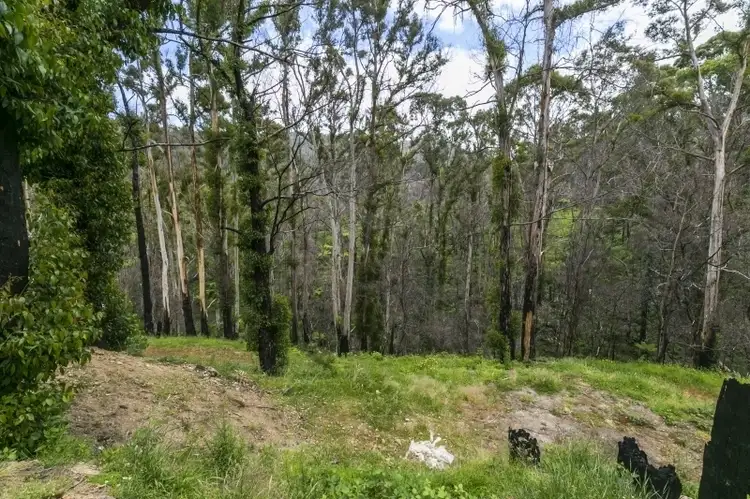 Main view of Homely land listing, 41 Riverside Drive, Wye River VIC 3234