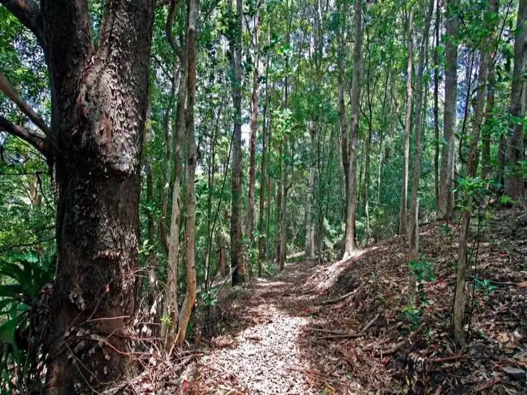 Second view of Homely land listing, 51 Fig Tree Lane, Myocum NSW 2481